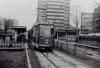 Cottbus (DE)