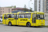 PP-207AU