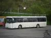 PP-239BX