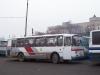 Pulawy (PL)