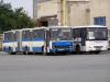 KE 018 CS (175), KE 431 BZ
